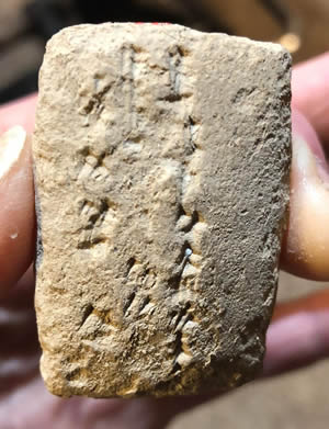 1900 BC Cuneiform Tablet, administrative document in Sumerian text, reverse