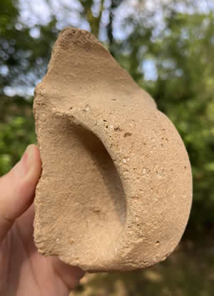 1000 BC Jar Handle excavated at Tall el Hammam in Jordan or ancient Sodom