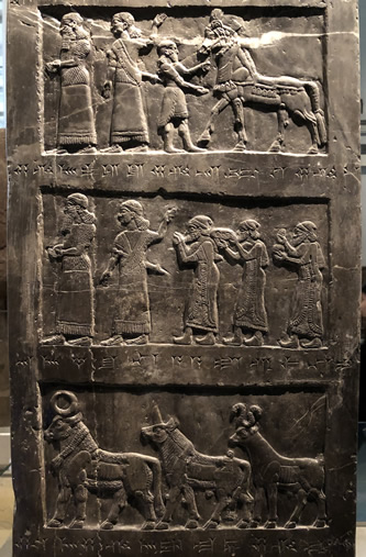 In the middle row on side B of the Black Obelisk of Shalmaneser two Assyrian officials lead three Israelite tribute bears carrying silver, gold, gold vessels and tin according to the cuneiform inscription directly above