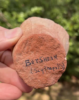 Amphora Base picked up in ruins of Beth Shean 
