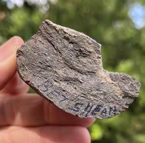 Basalt Stone Jar Handle picked up in Beth Shean ruins