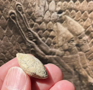 10-90 AD Roman Lead Sling Shots or Ballista found in Israel
