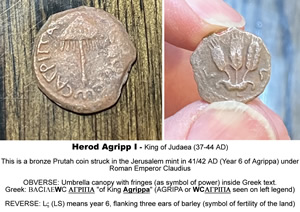 41 AD King Herod Agrippa coin details