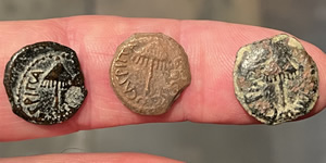 41 AD King Herod Agrippa I obverse, Three coins showing Umbrella