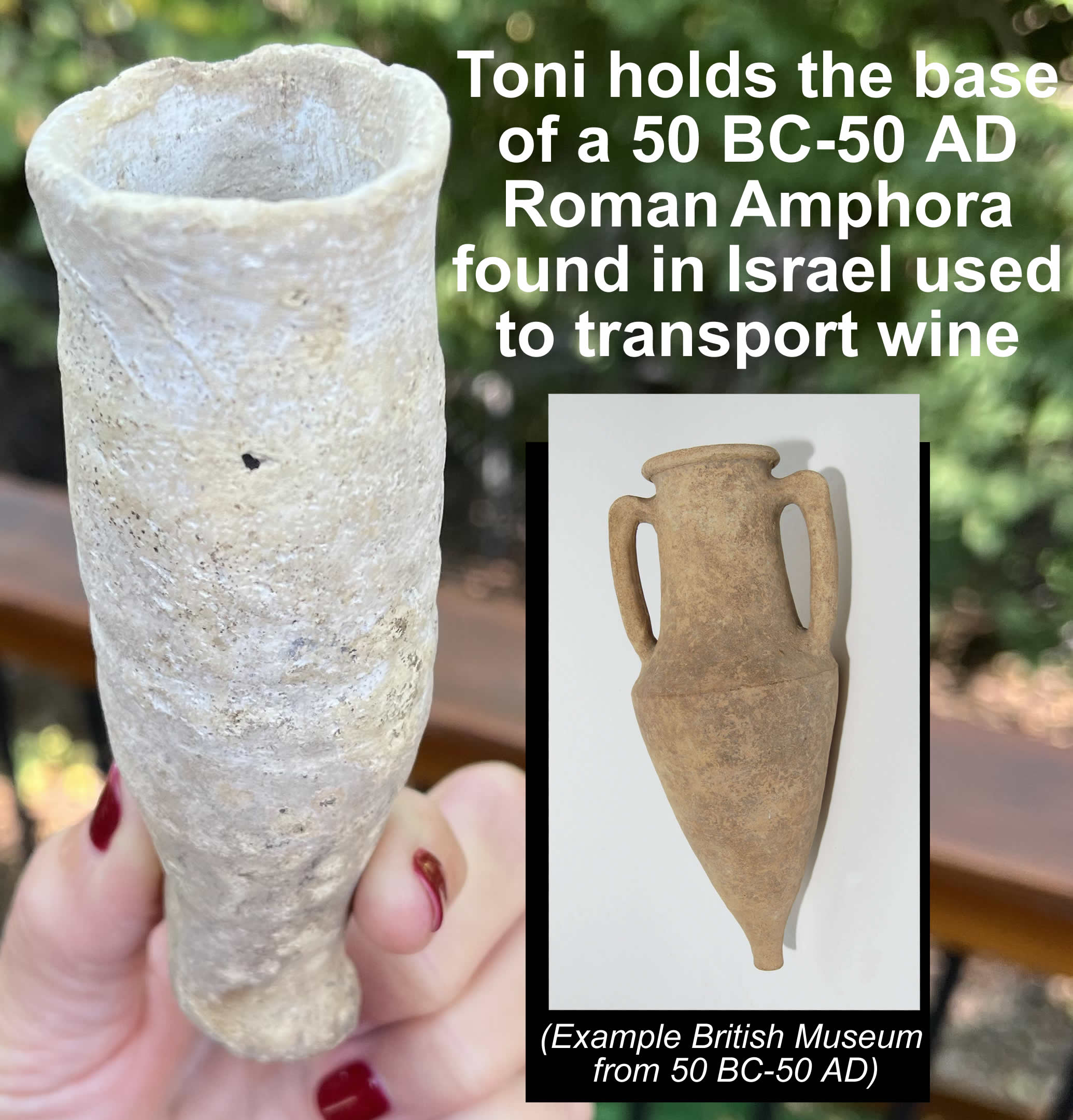 50 BC-50 AD base of a Roman Amphora used to transport wine and found in Israel 