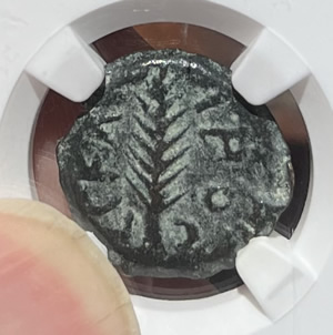 59 AD Porcius Festus, Governor of Judaea, Procurator 59-62 AD, Prutah coin minted in 59 AD, obverse