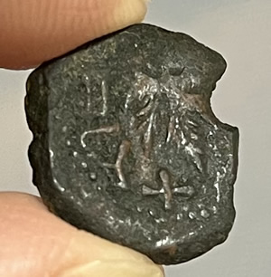 68 AD Jewish coin struck by rebels in first Jewish War with Rome reverse vine leaf on small branch with Hebrew Inscription "FREEDOM OF ZION"