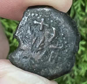 68 AD Jewish coin struck by rebels in first Jewish War with Rome reverse vine leaf on small branch with Hebrew Inscription "FREEDOM OF ZION"