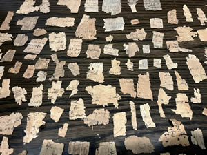 Papyrus fragments from the general time the New Testament was being written and similar to what the NT letters were written on.