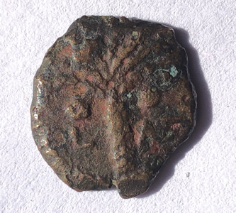 A "Widow's Mite" minted by the Roma Procurator of Judea Marcus Ambibulus 6-9 AD with a palm tree