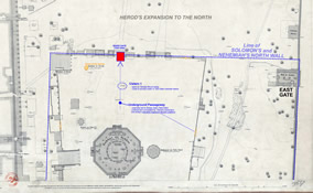 Warren's 1865 Underground Temple Survey detailing cisterns and Nehemiah's Sheep Gate