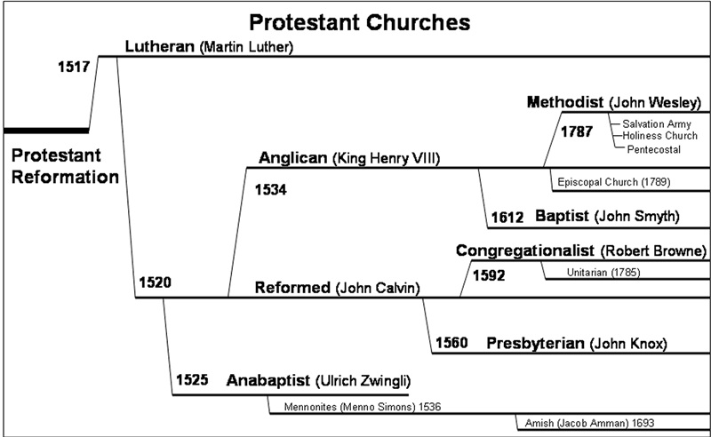 Baptist Vs Methodist Chart