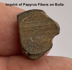 10-190 AD Roman Clay Bulla reverse side shows fibers of the papyrus document this bulla sealed around 100 AD