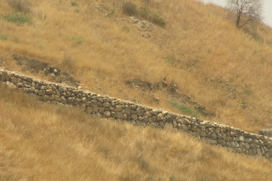 remains at Lachish