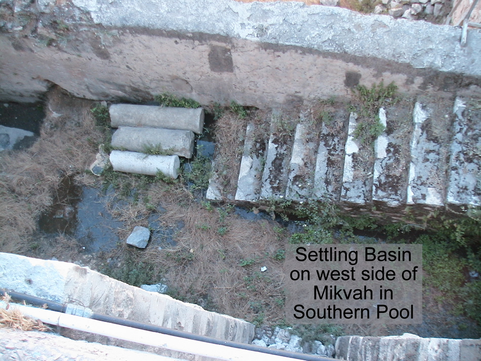 Pool of Bethesda with mikvah steps and settling basin on south side