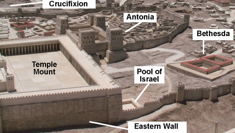 Pool of Bethesda model labeled