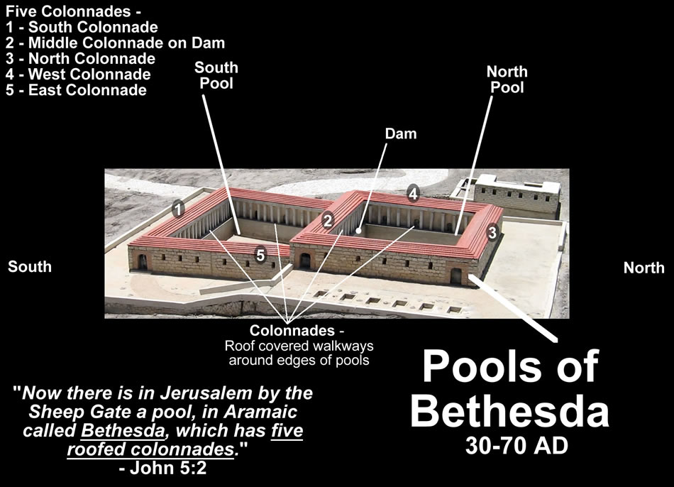 Pool of Bethesda model labeled
