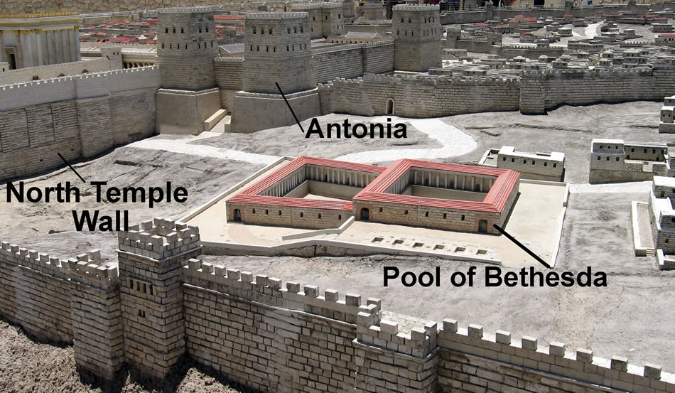 Pool of Bethesda model labeled