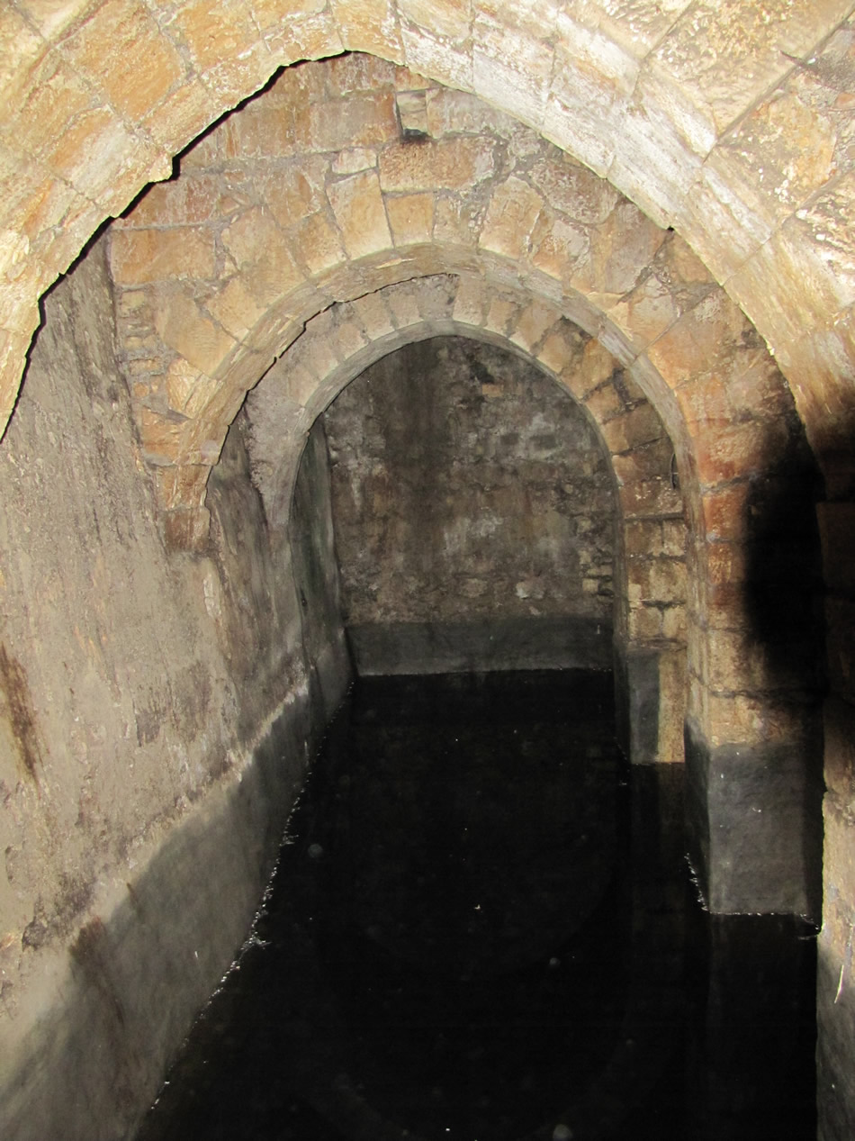 Water on the south side of the Pool of Bethesda under the remains of a Crusader Church