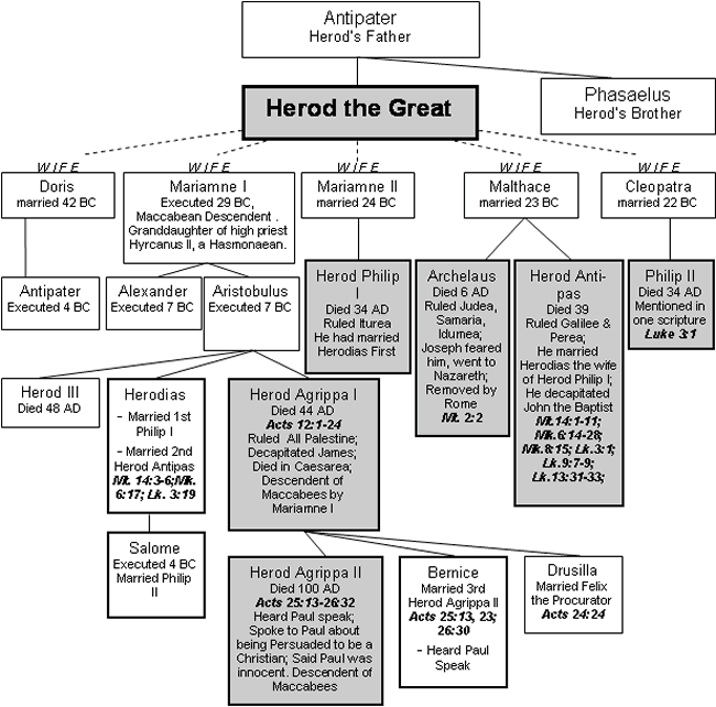 030 Herod family tree