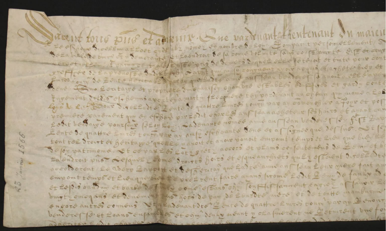 1566 AD French Manuscript on Vellum B