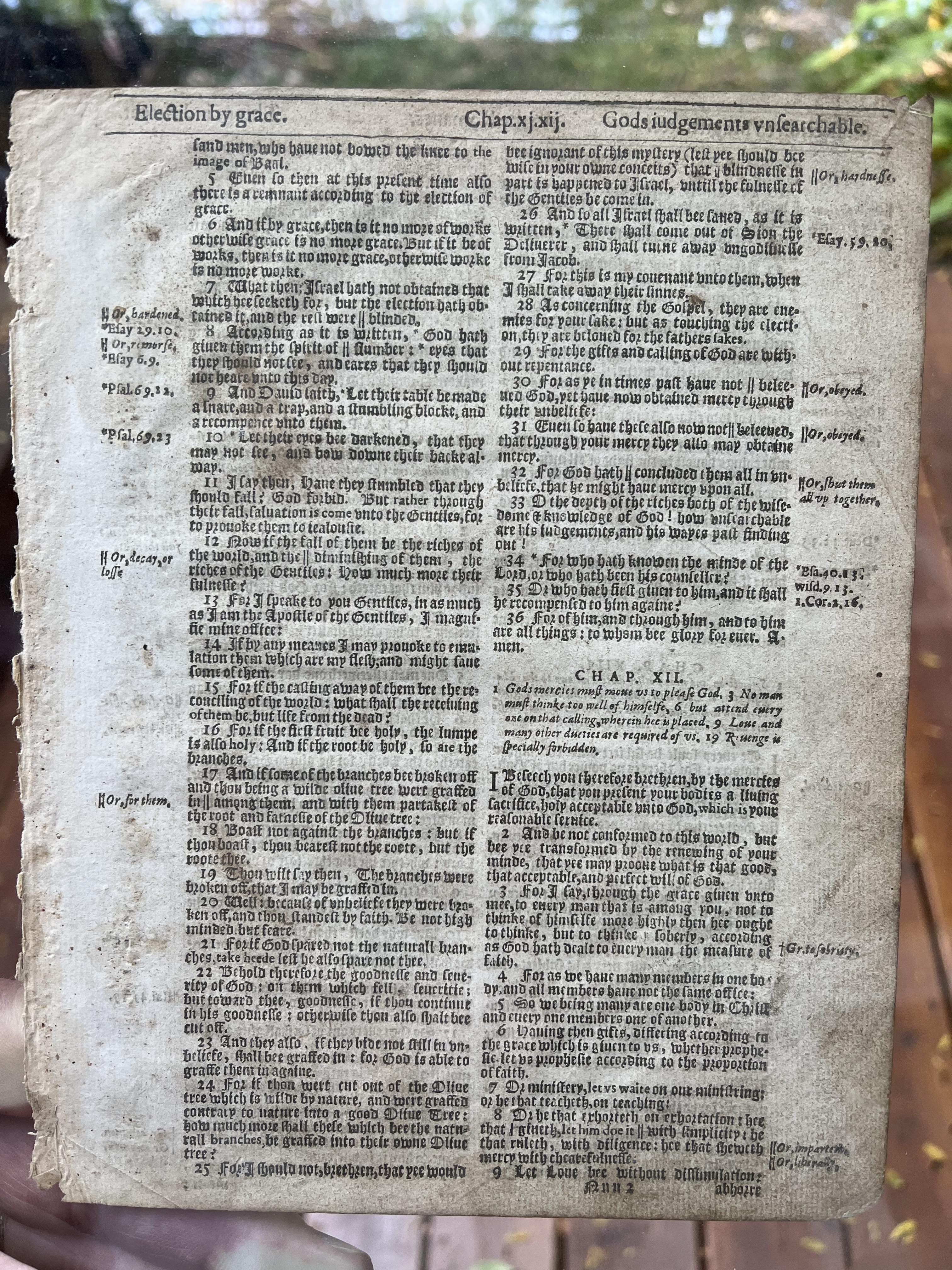 1611 AD King James Bible Romans chapter 11 12 full page