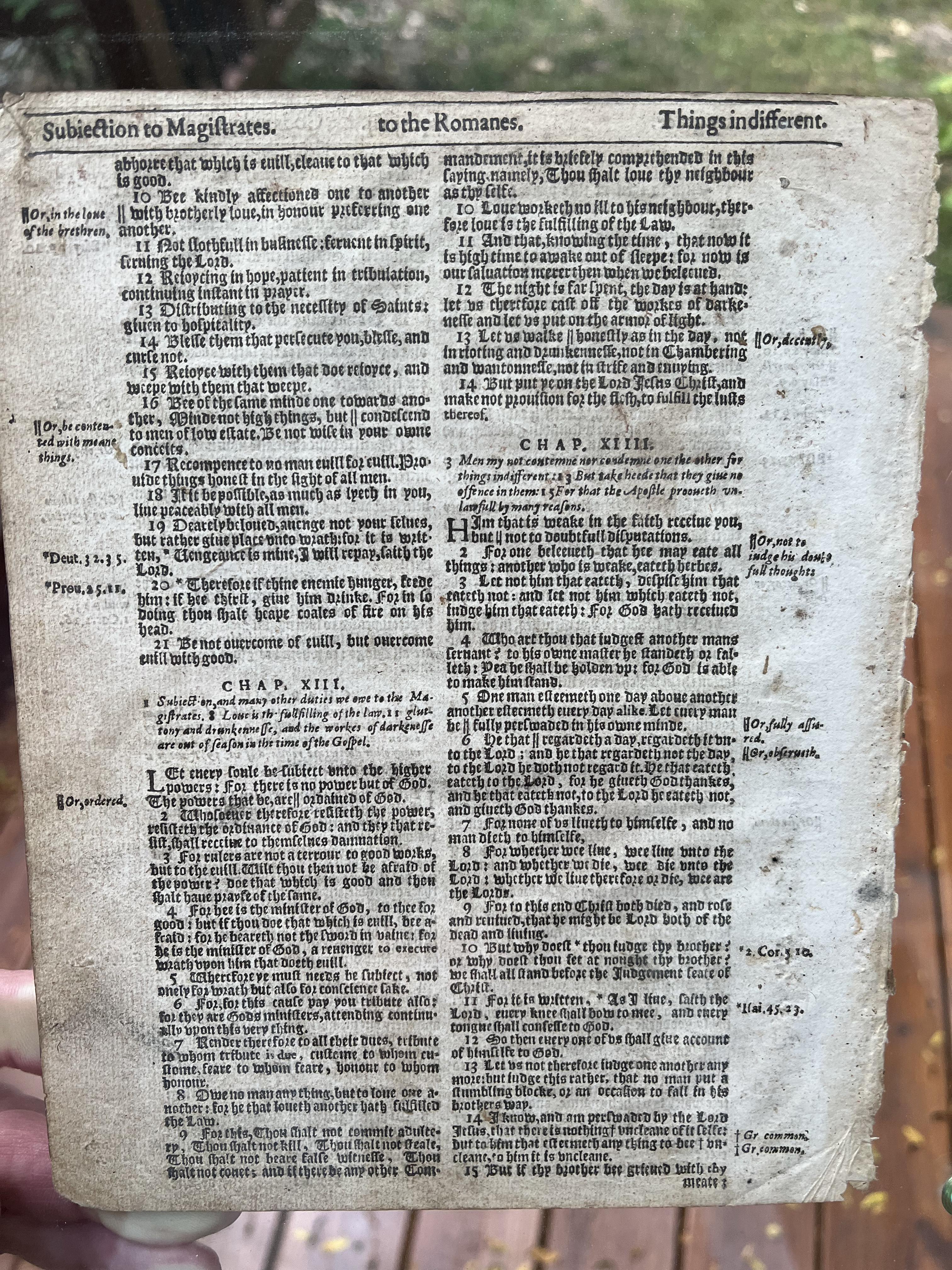 1611 AD King James Bible Romans chapter 12 14 full page