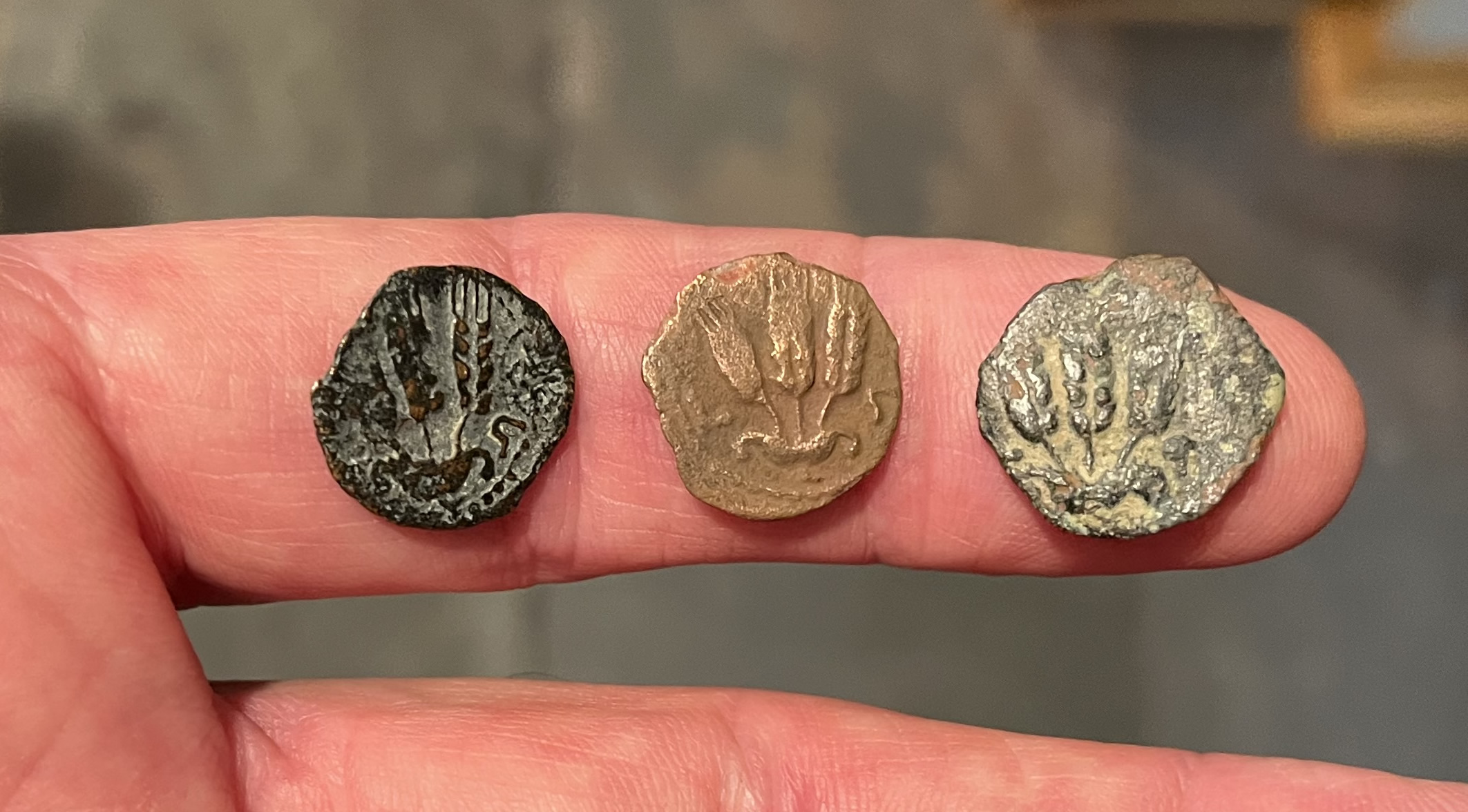 41 AD Agrippa I 4 coins three coins Barley Ears FULL