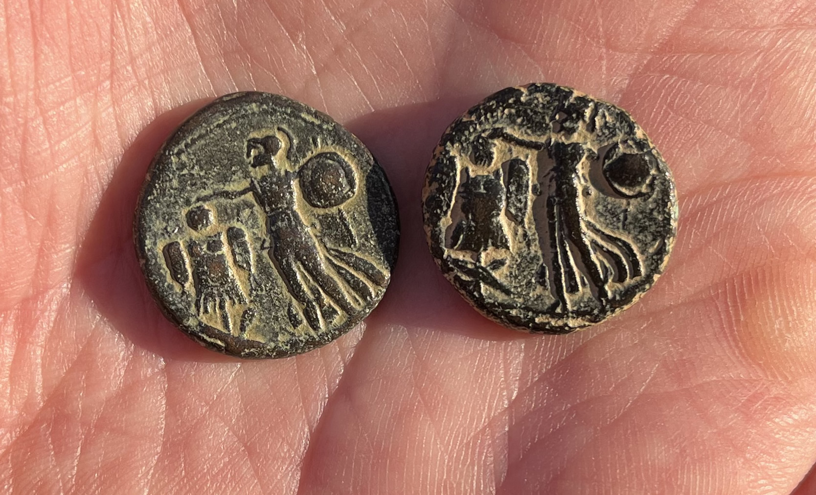 83 AD Domitian Judaea Capta coins TWO reverse FULL