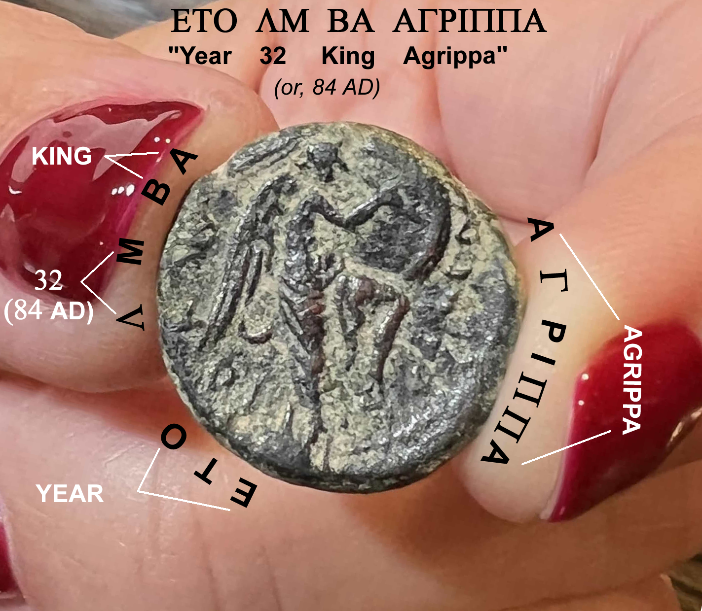 84 AD Agrippa II reverse with TEXT 22