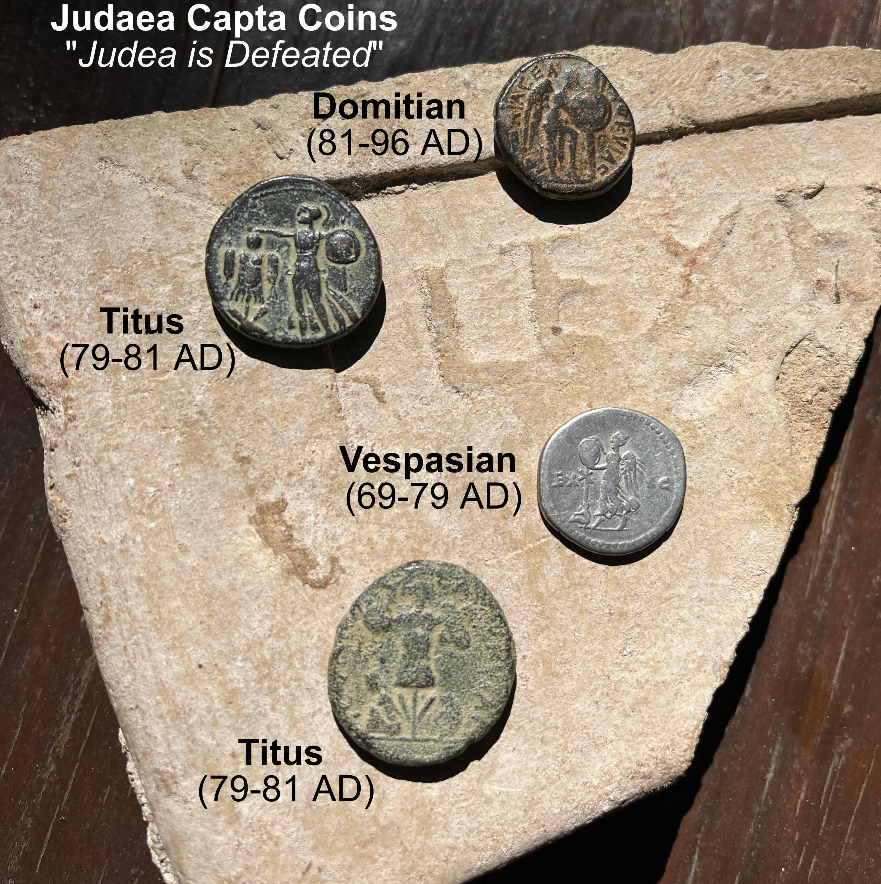 Flavian Dynasty Judaea Capta coins reverse Vespasian Titus Domitian LABELD TEXT 22