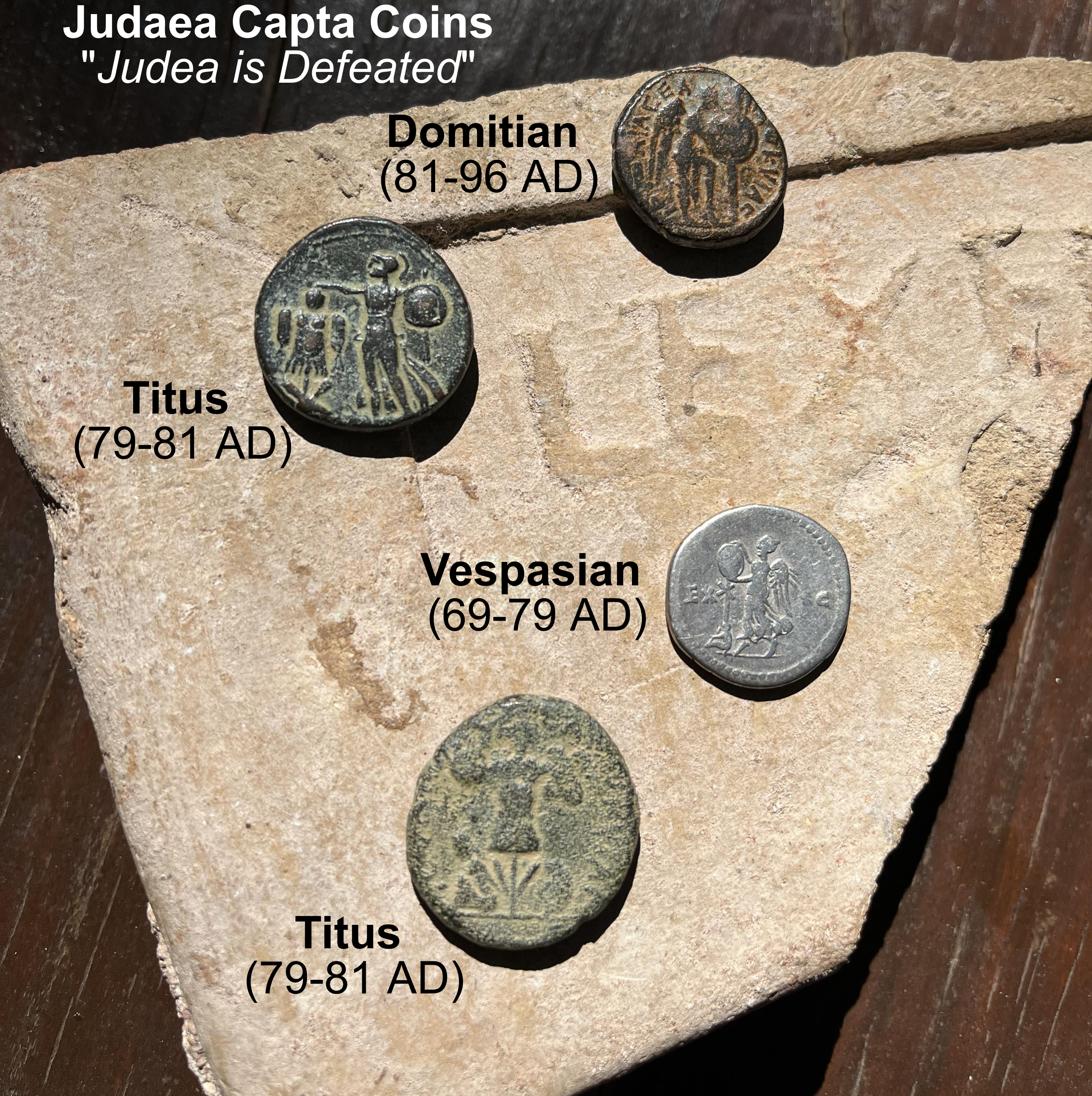 Flavian Dynasty Judaea Capta coins reverse Vespasian Titus Domitian LABELD TEXT FULL
