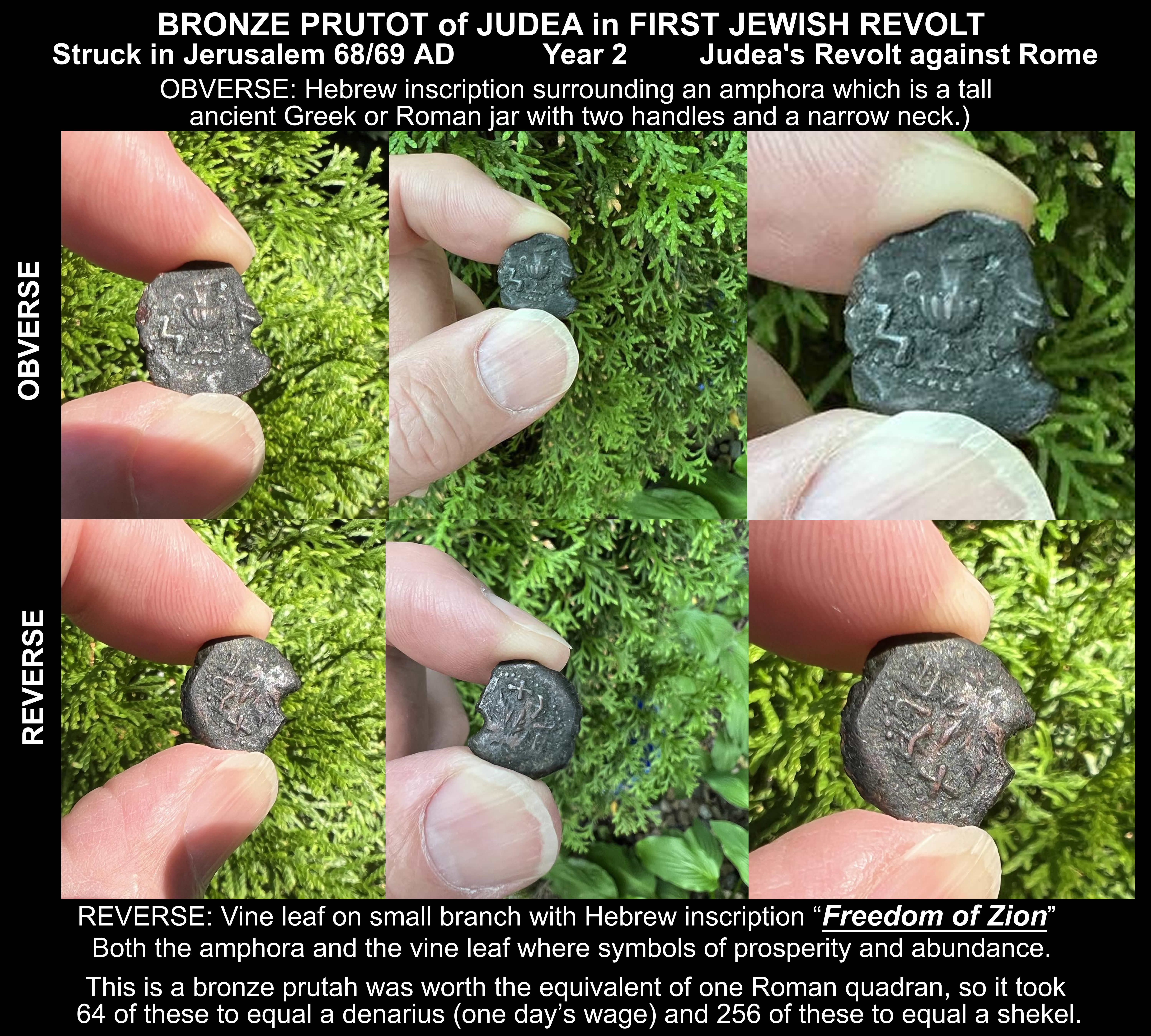 Judea first revolt 68 69 AD views of coin with text