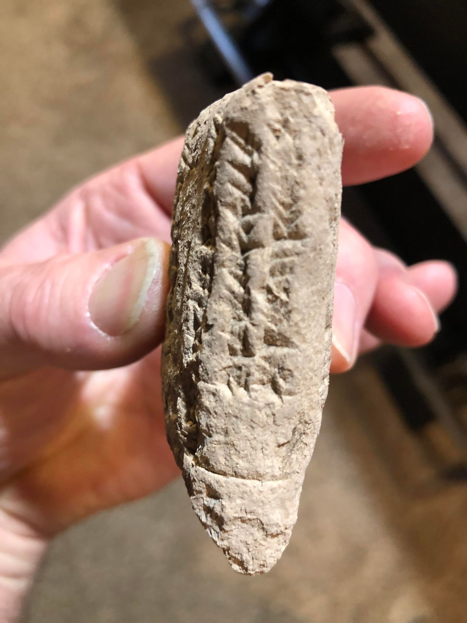 1400 1200 BC Kassite Persian Cuneiform Tablet SIDE 3 FULL
