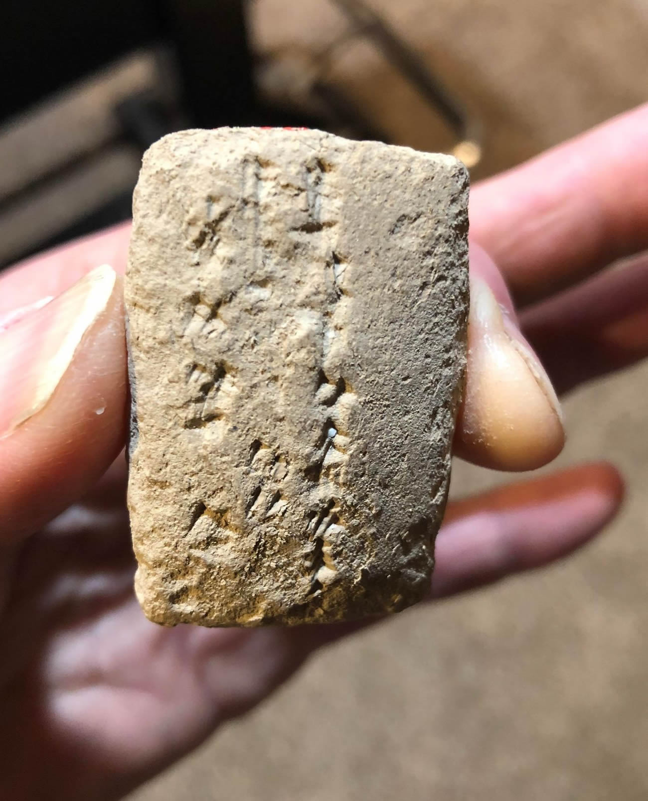 1900 BC REV Cuneiform Tablet Sumerian Inscription administrative FULL 1