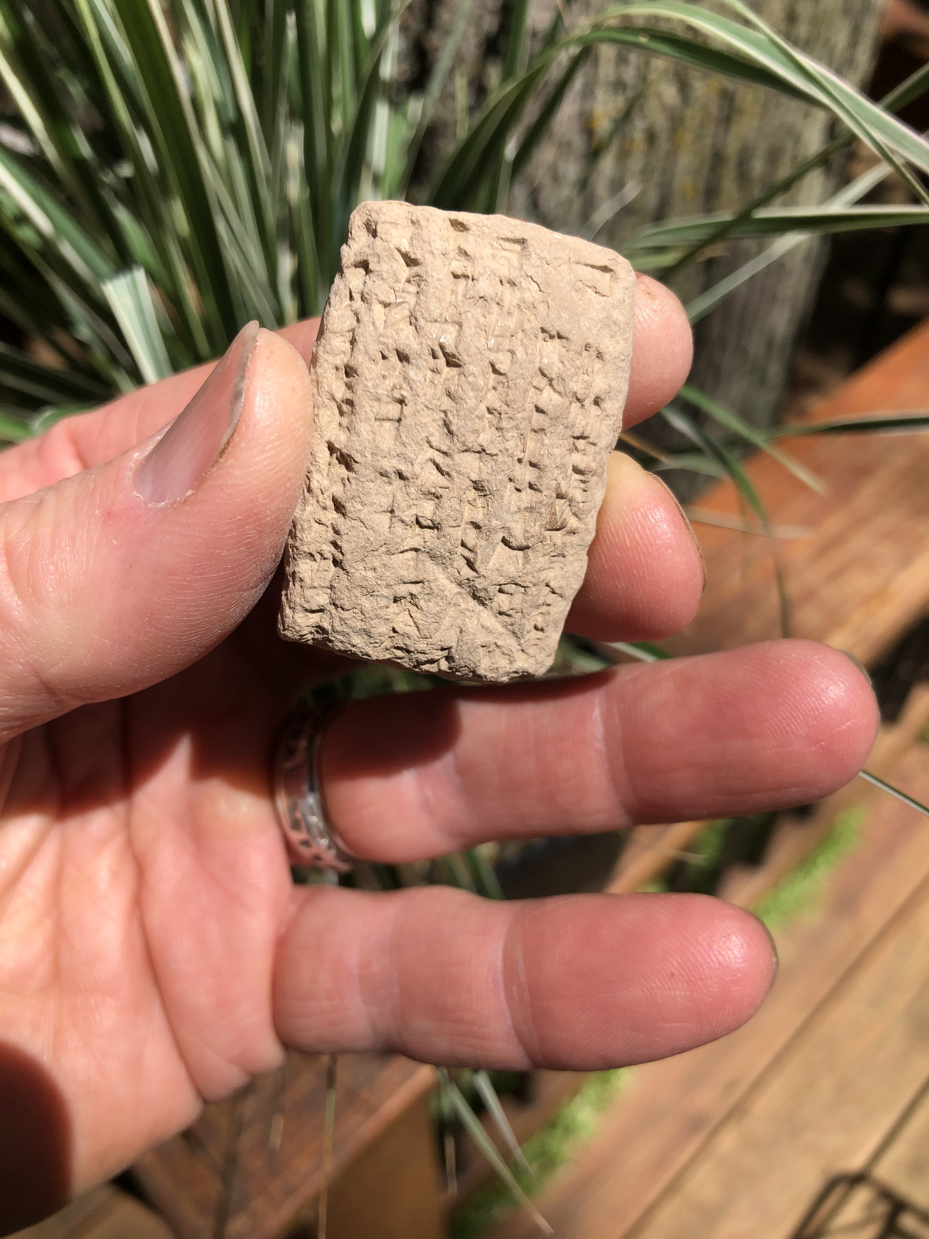 1900 BC obv Cuneiform Tablet Sumerian Inscription administrative FULL 2