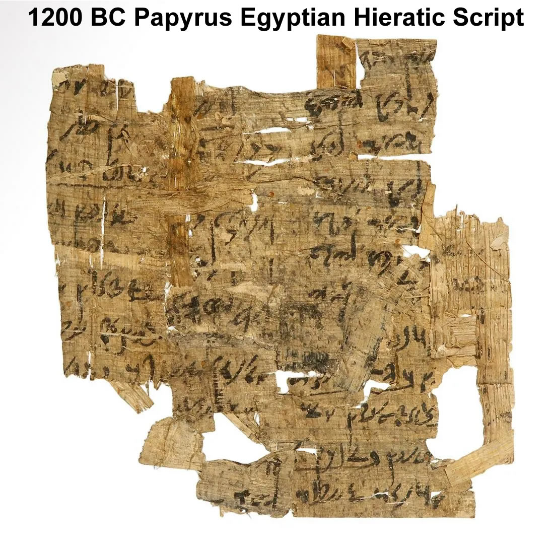 1200 BC Hieratic Script papyrus front